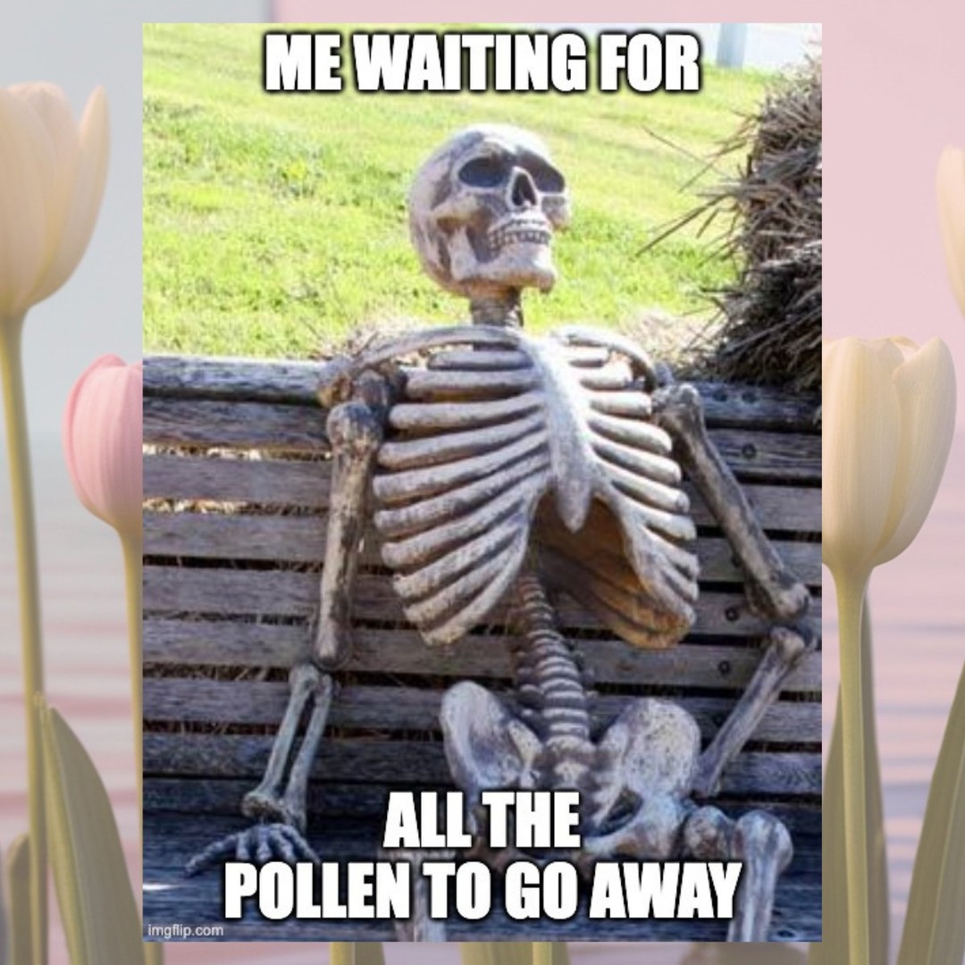 I love spring. My nose and eyes strongly disagree. 🤧