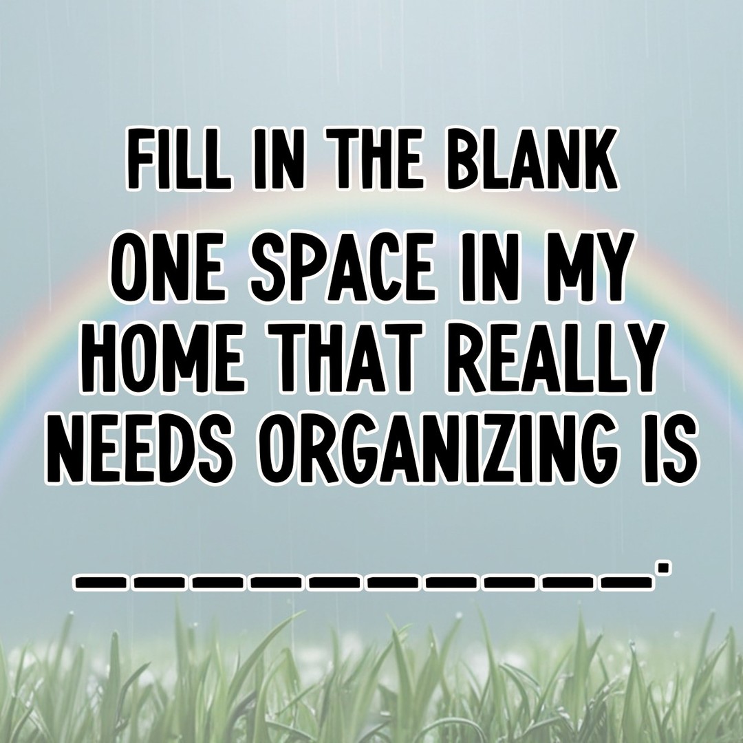 Fill in the blank!
One space in my home that really needs organizing is ___________.