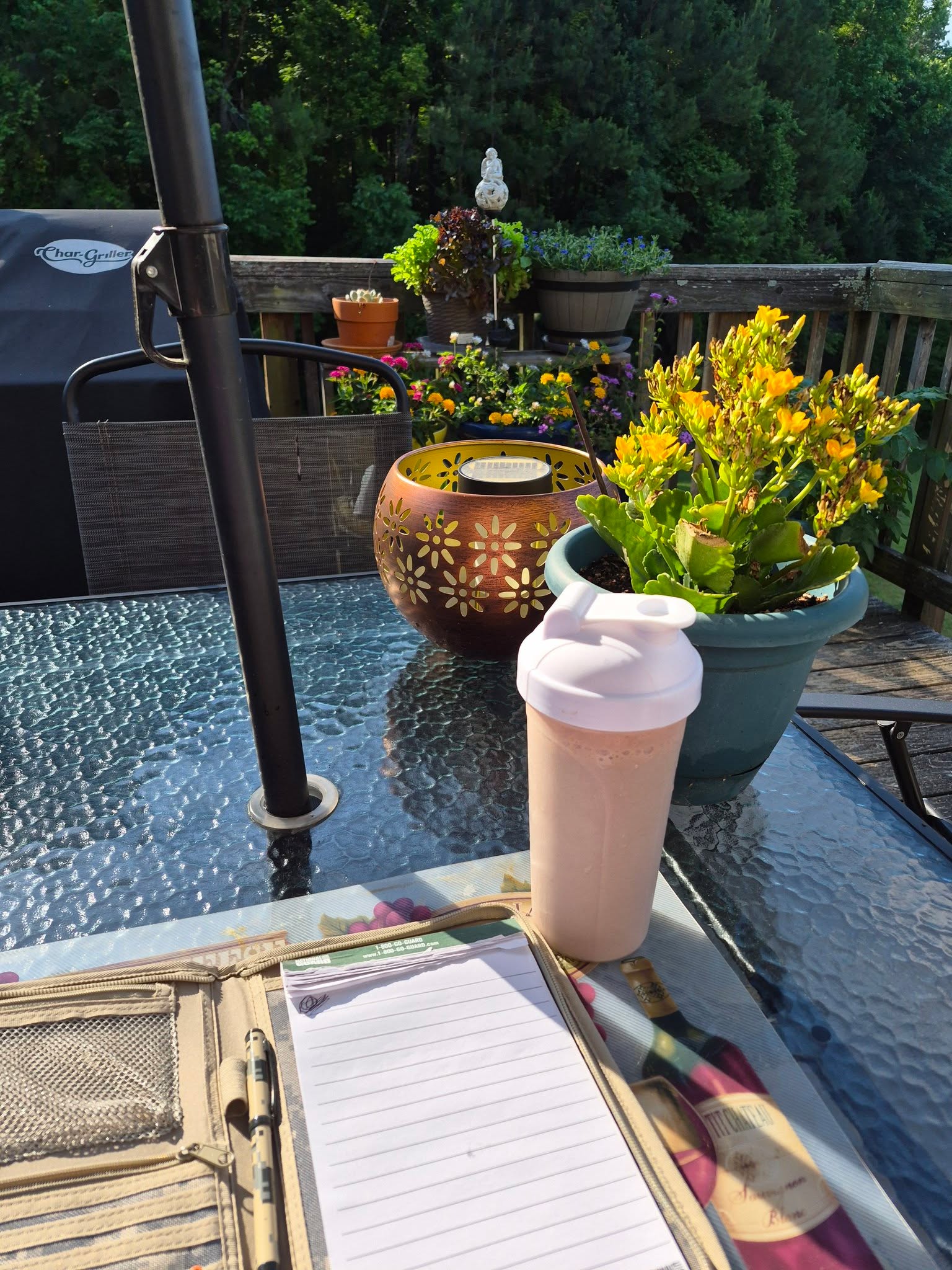 Happy Sunday World!

The sun is shining, the flowers are in full bloom, and I'm on my deck!

Checking the weather to see if it's safe to bring out the plumeria this week! They are starting to fill out.

Today is also about writing. It's time to put words to paper. 
Today a blank page...
Tomorrow stories of mystery, adventure, and love...

Do you have a blank page that needs filled?