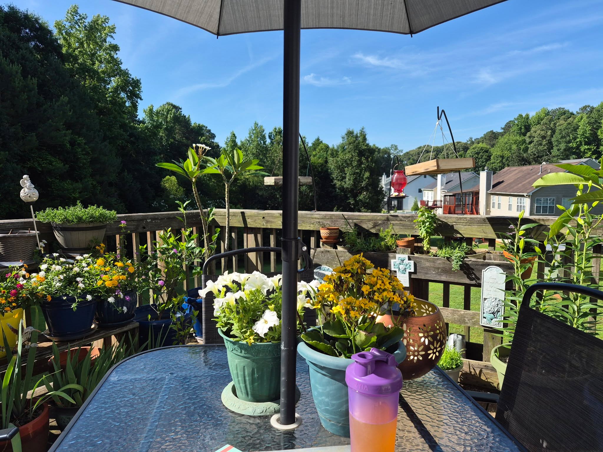 Woohoo! Good morning world!

I'm in my happy place!

Although it is warming up quickly so I'll head inside soon. 

May your Saturday be sunny!

#BeBlessed