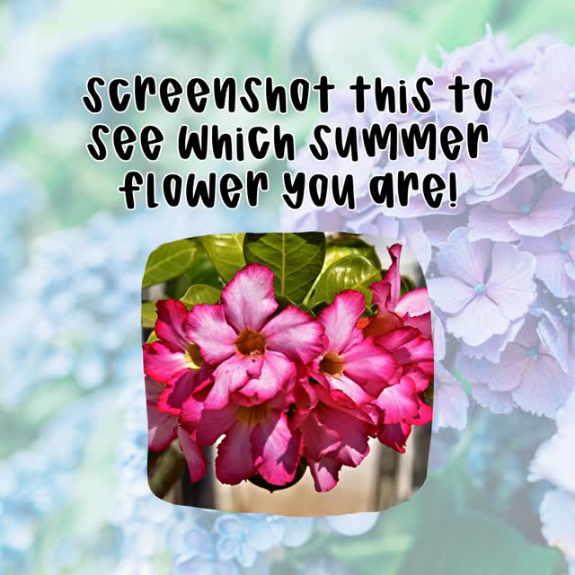 Screenshot this to see which summer flower🌺 you are! Share yours in the comments 🤩
