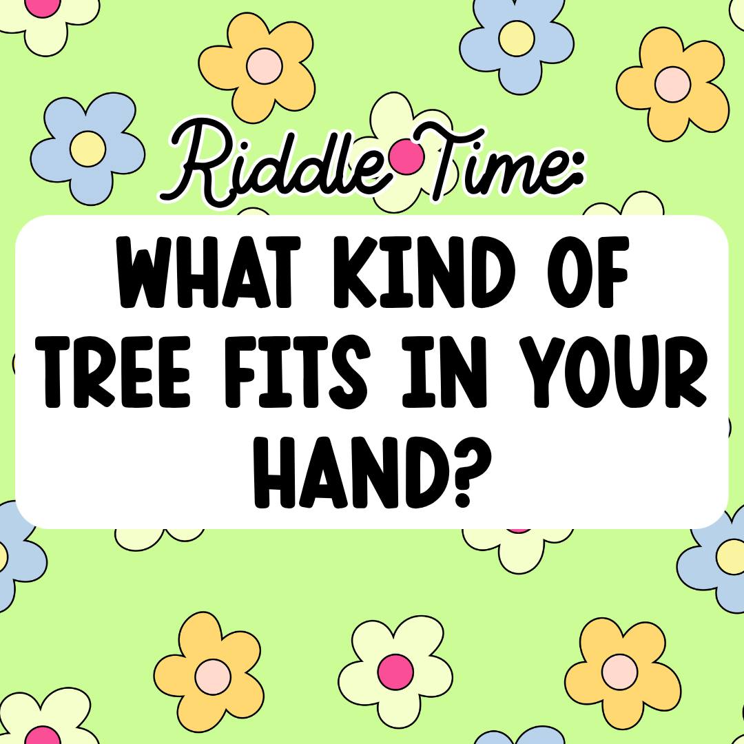 Time for a riddle! 🤩

What kind of tree fits in your hand? 🤔💭