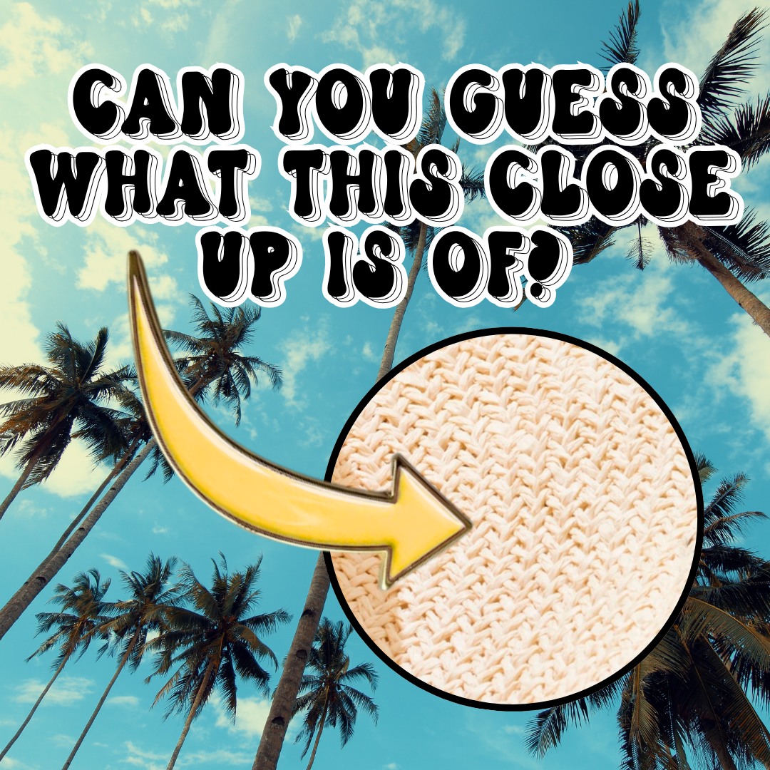 👀🏝️ Can you guess what this summer close-up is? Take your best shot!