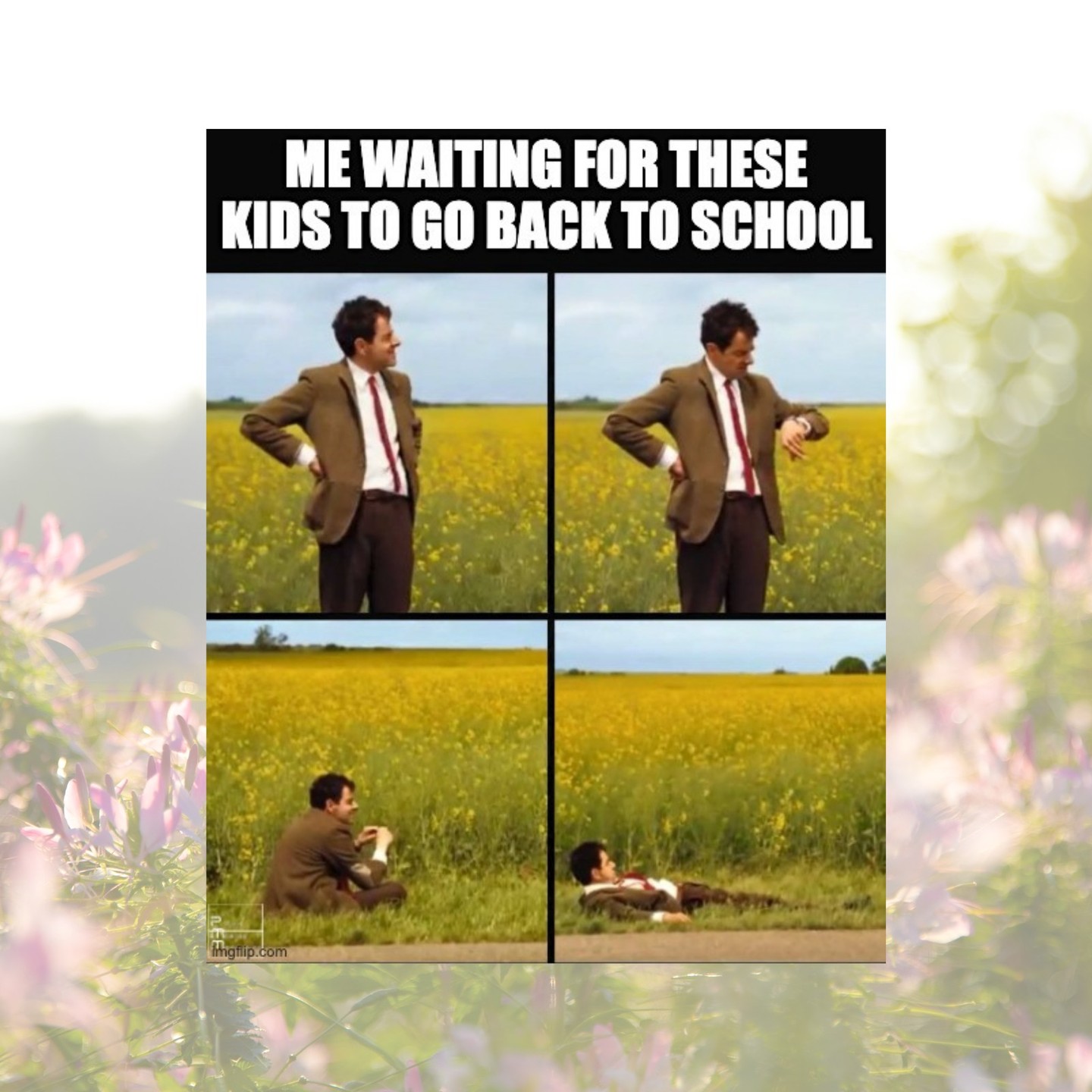 🤣 Parents... be honest! How accurate is this meme? Tag another parent who can relate! 🍎
I don't have any kids in school anymore but I know the first day of school was awesome!

When do your kids go back?