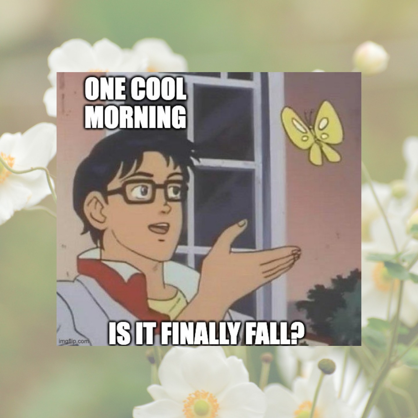 🍃 One cool morning and suddenly...
"Is it finally fall?" 😂🙋‍♀️