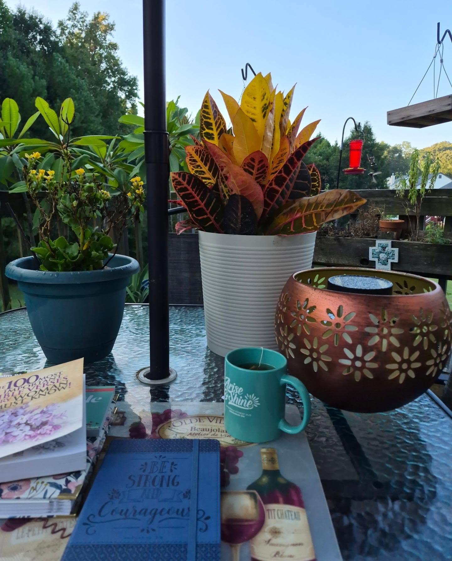 Good Morning Morning from the deck!
The hummingbirds are in full gear and it's comfortably cool. 

Starting a new devotional today. We all need to be Strong and Courageous. 

Make your Monday magical and make things happen!